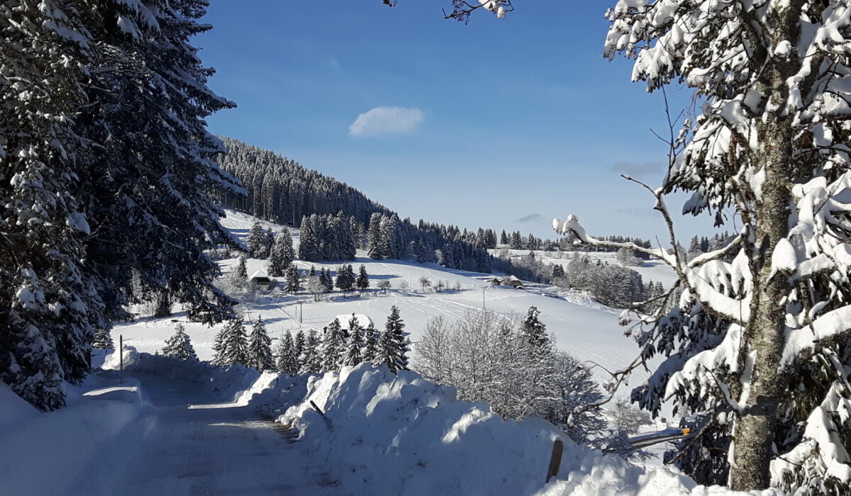 Neuglashütten Winter