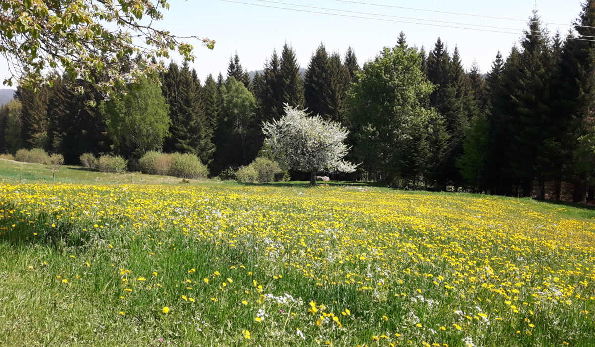 20180506_123836
