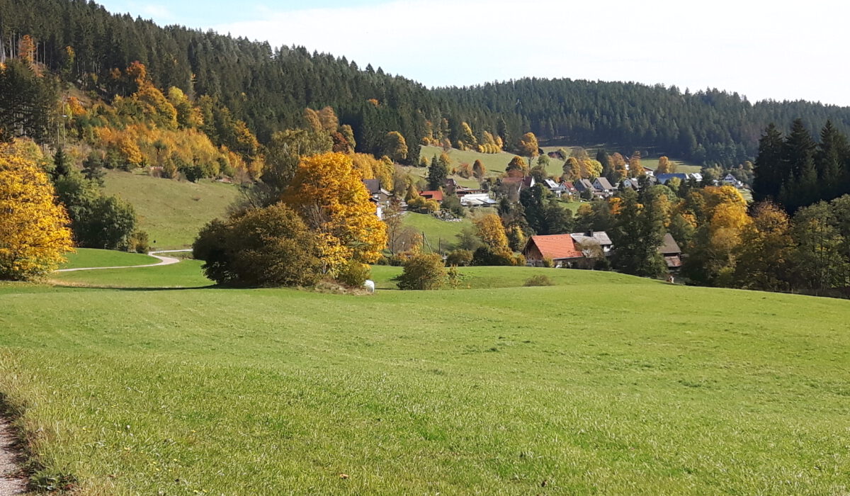 20191013_120937